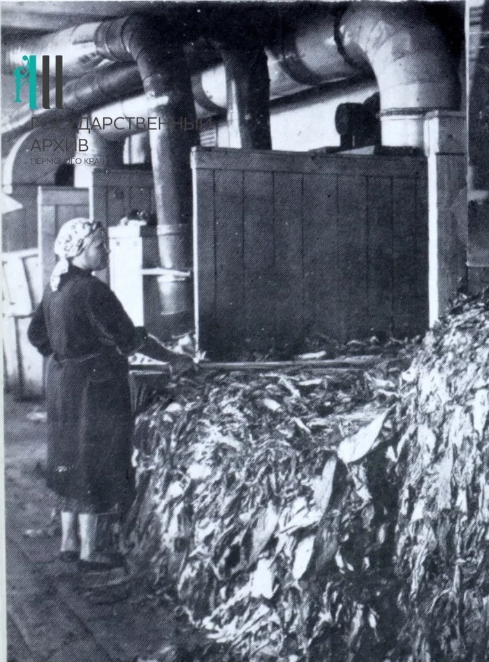 Истории одного завода. Здесь делали «Астру» и «Приму», а с трех зарплат работники могли купить машину Пермь, Астры, Прима, История, Длиннопост