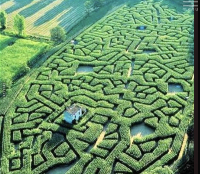 Когда не очень любишь гостей