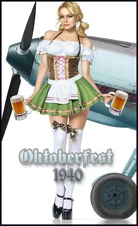 Oktoberfest was canceled for the first time in 70 years! - Pin up, Oktoberfest, Pandemic, Cancellation, Social distance, Sadness, Beer, The festival, news, Longpost