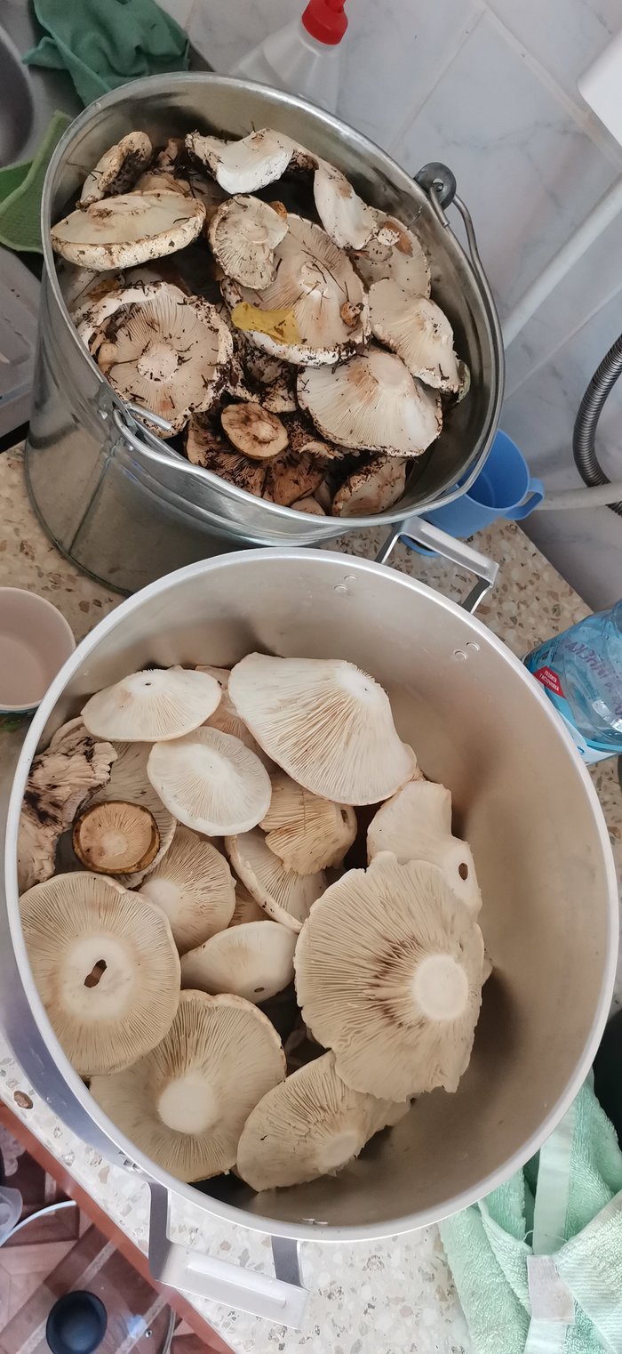 ��� ��� ����� �� ��� �����