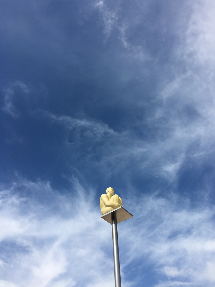 Ты смотри, куда забрался | Пикабу