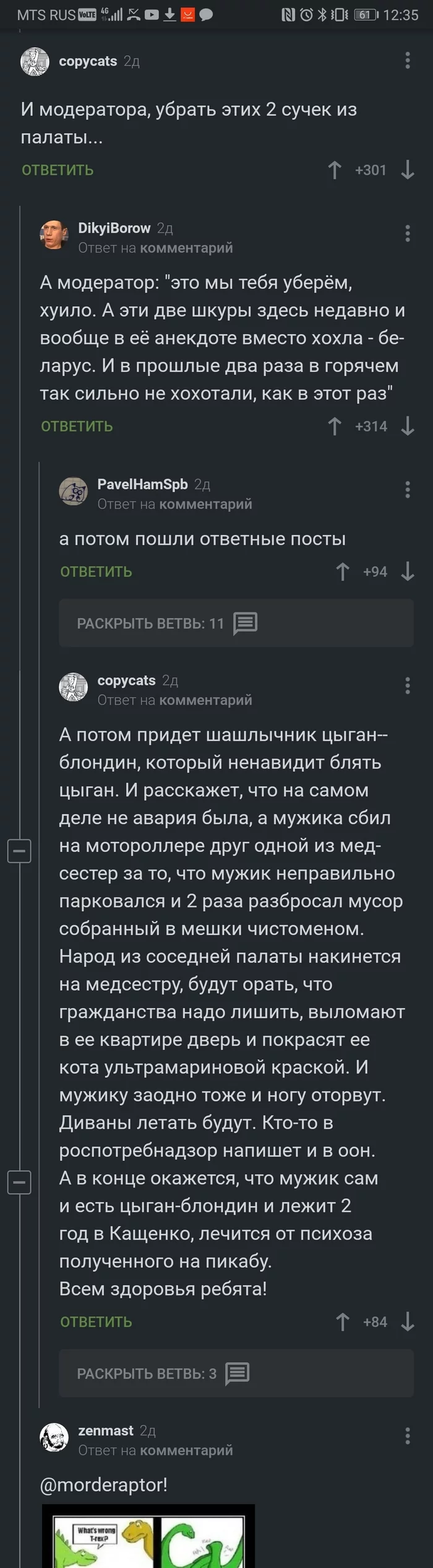 Комент из некоторым коментаторам посвещается... - Юмор, Комментарии на Пикабу, Длиннопост, Скриншот