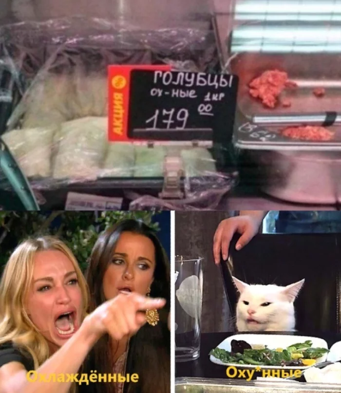 The cat says it all - cat, Cabbage rolls, Two women yell at the cat, Rock ebol