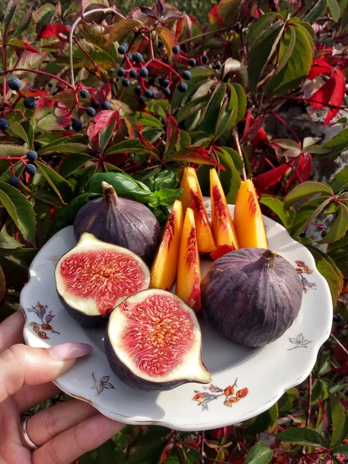 Variegated autumn breakfast in the country - My, Фрукты, Autumn, Dacha, Fig, Peach, Grape, Peaches