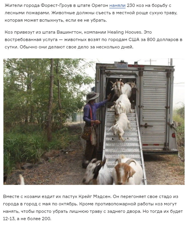 ...�������