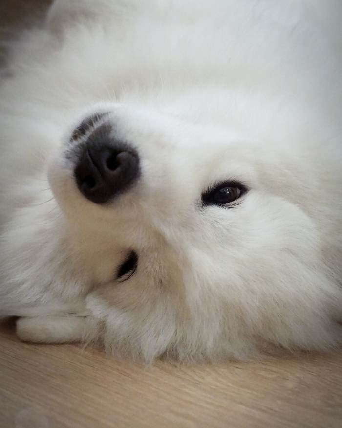 � ���������� �����, ������� � ������