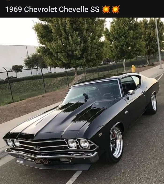 1969 Chevrolet Chevelle SS - Chevrolet, Chevrolet Chevelle