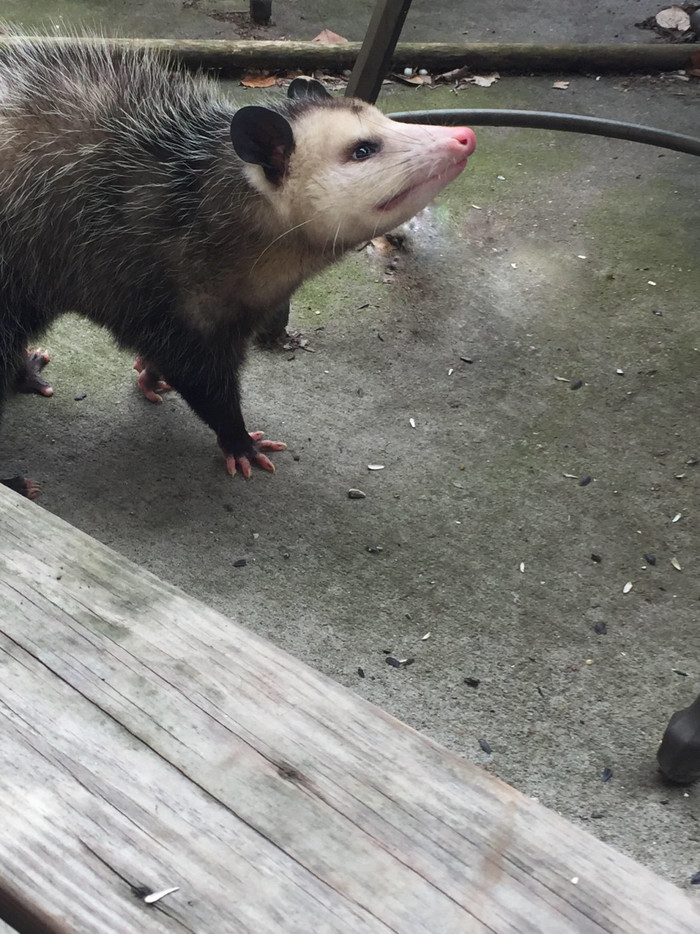 Когда чем-то недоволен с утра