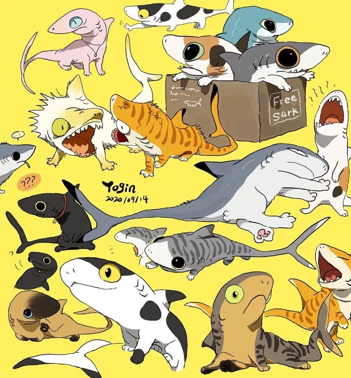 Cotaculas - Milota, cat, Shark, Art, Longpost