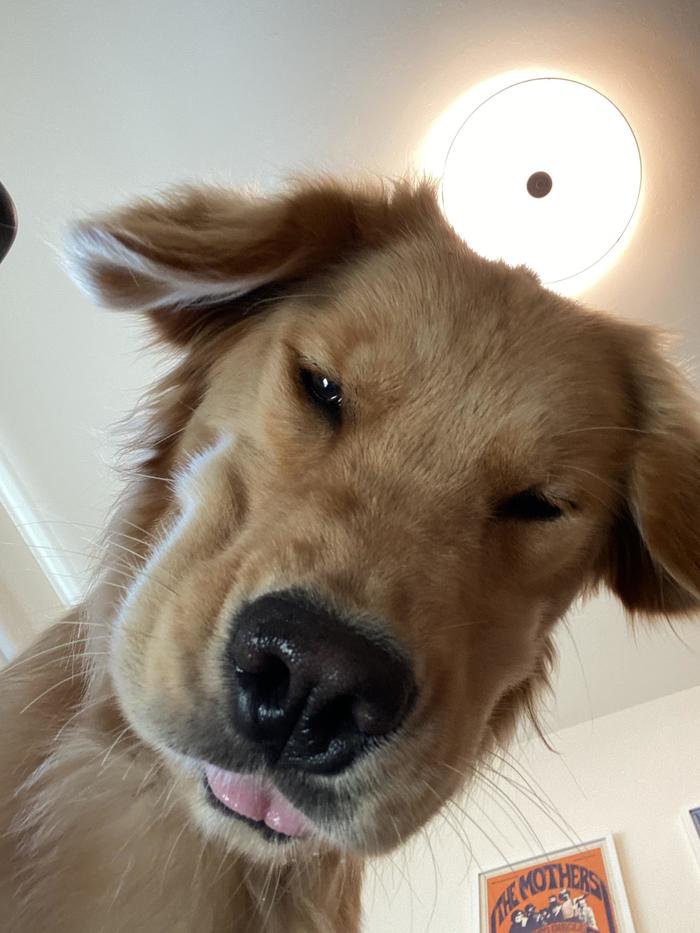 "         "
