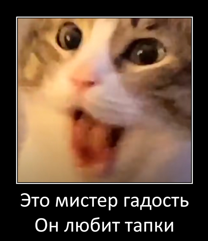 ������ �������