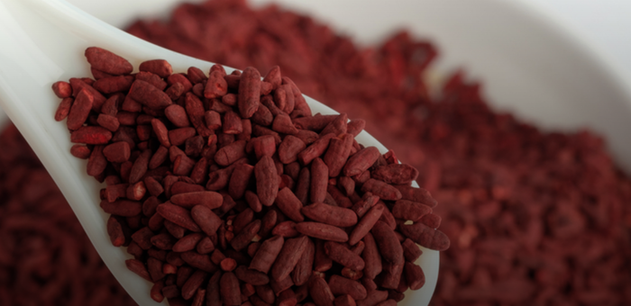 Новые микророботы могут взаимодействовать с нервной системой человека