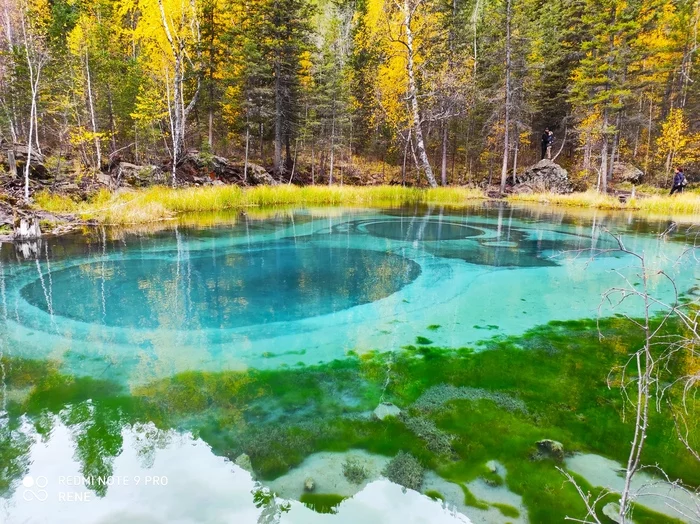 A sudden drive through instead of lakes. Aktash, geyser lake - My, Aktash, Altai Republic, Longpost, Photo on sneaker, Nature, Lake, Geyser Lake