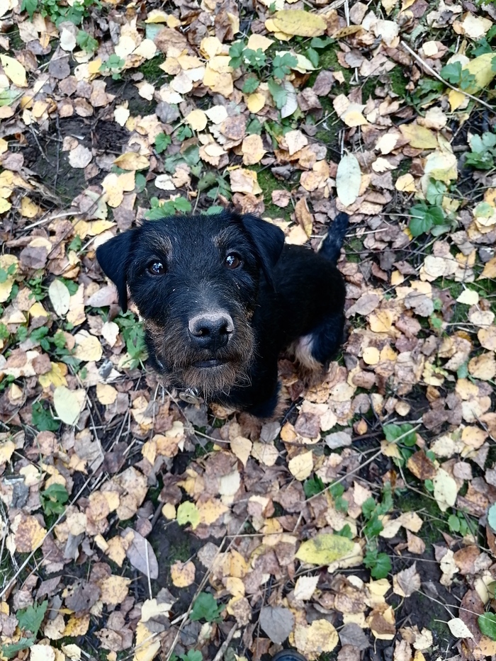 �������� �����