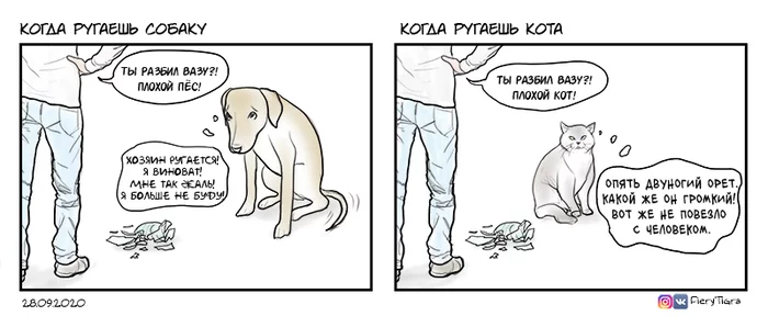 When you scold a dog and a cat - My, Comics, Dog, cat