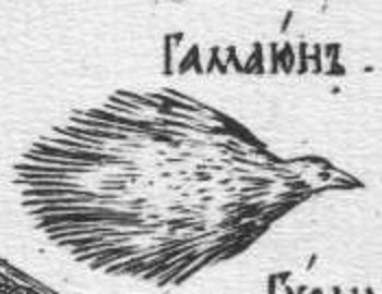 “If you cut off a bird’s arms...”, or How the authorities hid the “physical alternative” - My, Story, Heraldry of Russia, Heraldry, Smolensk, Coat of arms, Longpost, Gamayun Bird