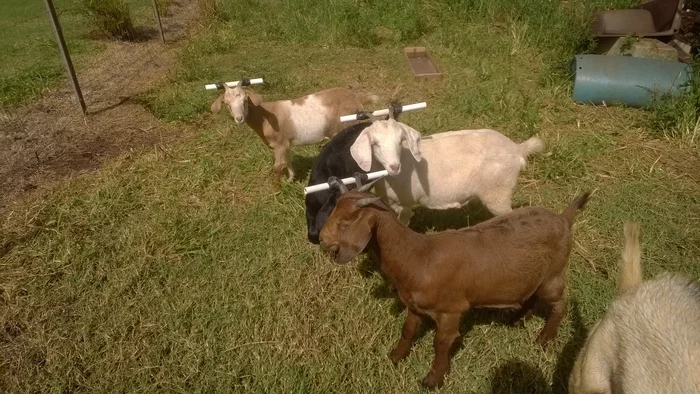 Что это за штука - 109 Перевел сам, Reddit, WhatIsThisThing, Видео, Длиннопост Что это за штука - 109 Перевел сам, Reddit, WhatIsThisThing, Видео, Длиннопост