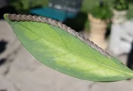 Что это за штука - 109 Перевел сам, Reddit, WhatIsThisThing, Видео, Длиннопост Что это за штука - 109 Перевел сам, Reddit, WhatIsThisThing, Видео, Длиннопост