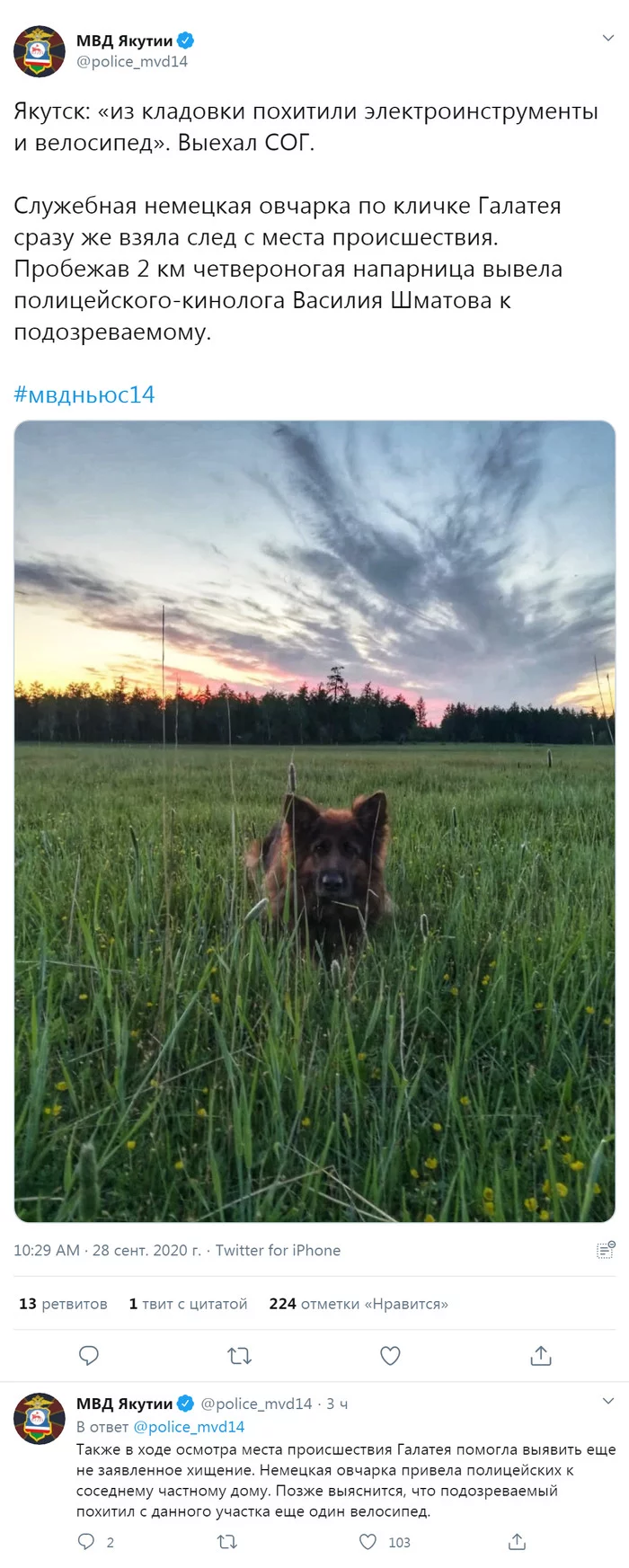 The dog promised to come with the police - Dog, Militia, Yakutsk, Ministry of Internal Affairs, A bike, Theft, Galatea, Partner, Longpost, Screenshot