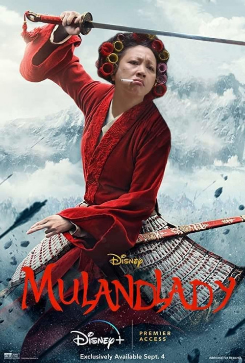 I watched this Mulan 2020 ... - My, Mulan, Overview, Opinion, Movies, Disney princesses, Walt Disney, Walt disney company, Video, Longpost