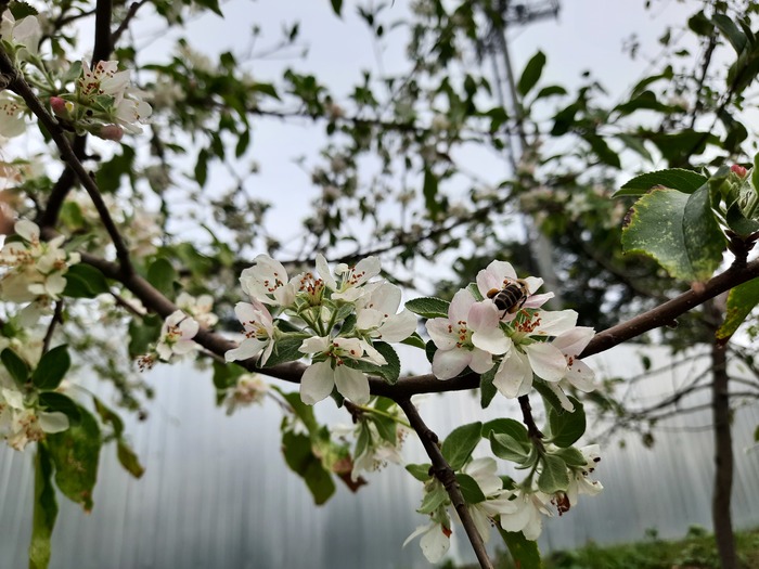 ��� � �������� ��������� :)