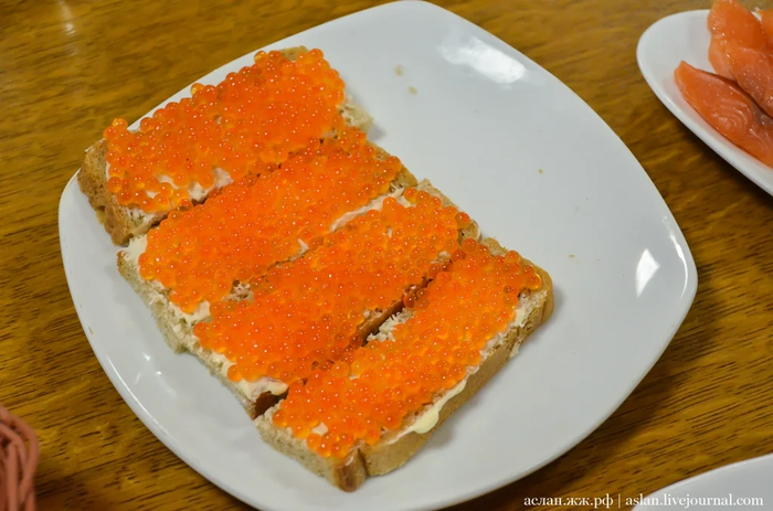 Как выращивают форель в Адлере Рыба, Форель, Как это сделано, Длиннопост, Разведение