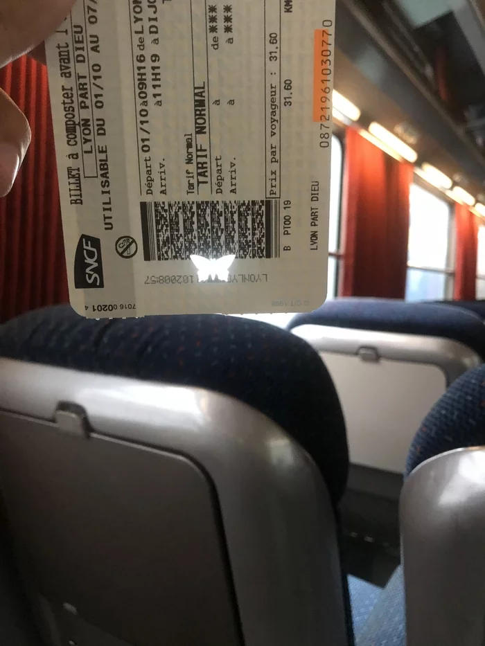 Flight Lyon-Dijon broken ticket) - Railway, France, Butterfly, Creative, Tickets