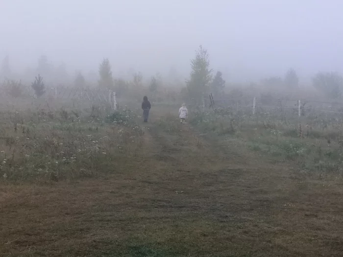 Chelyabinsk has been in fog for the second day - My, Chelyabinsk, Fog, Weather, Longpost