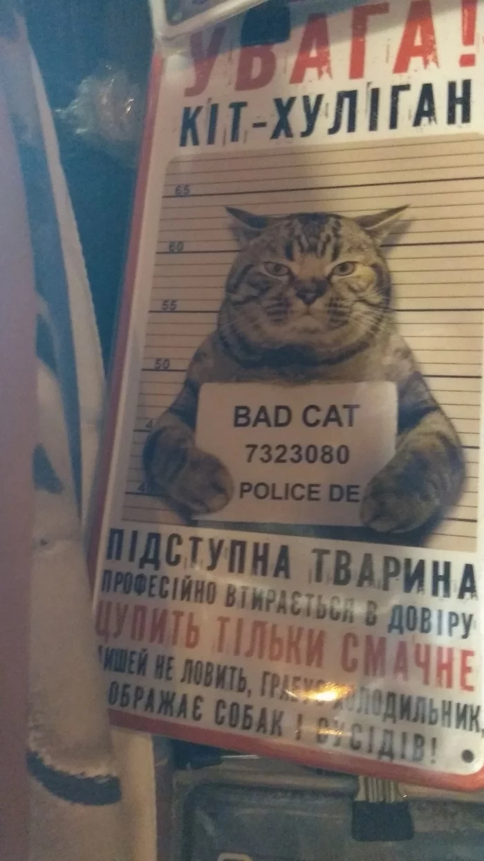 Attention! If you have seen these animals, be sure to report them! - Search, Lviv, cat, Dog, Longpost