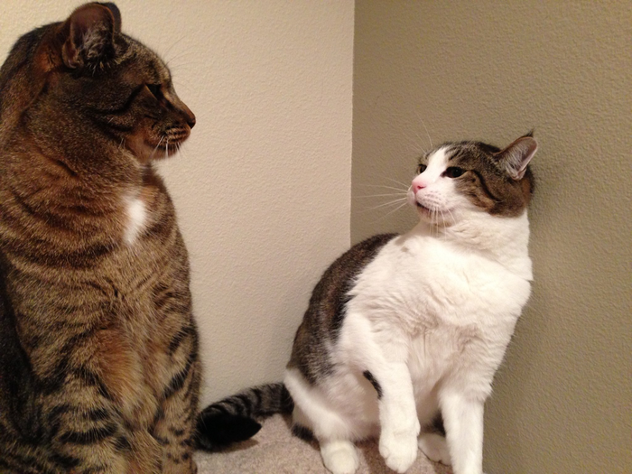 "... � ���� ����������� ������� ������������ ����������"