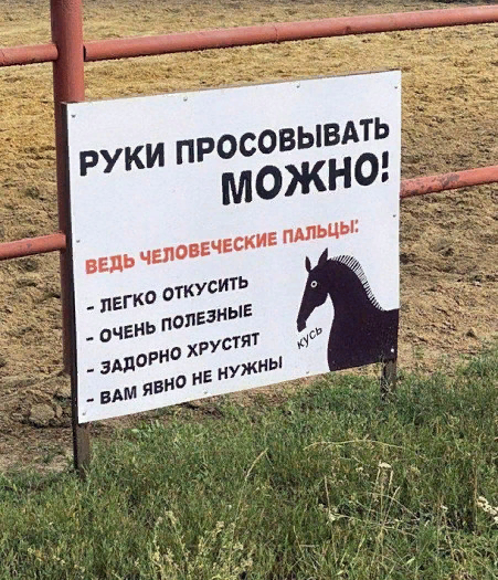 Let's crunch?! - Humor, Text, Табличка, Horses