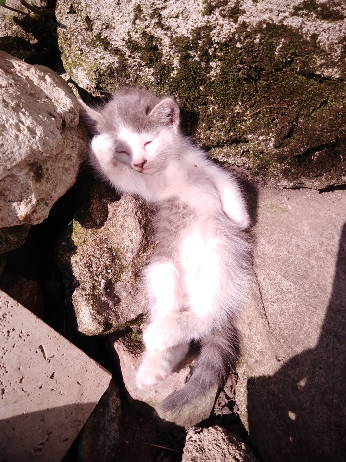 ��������� �������