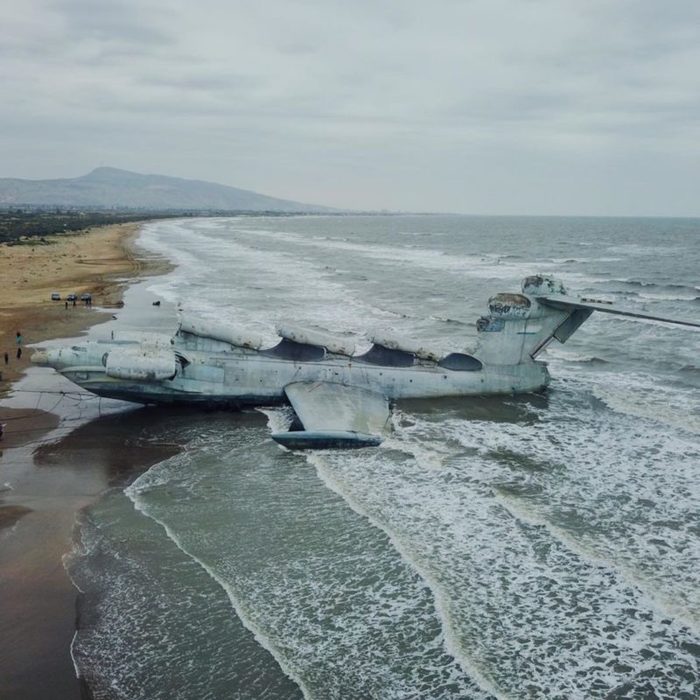 Эволюция в действии: экранопланы начали выбираться на сушу