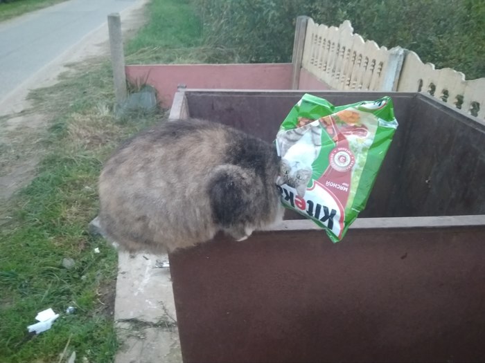 � �������