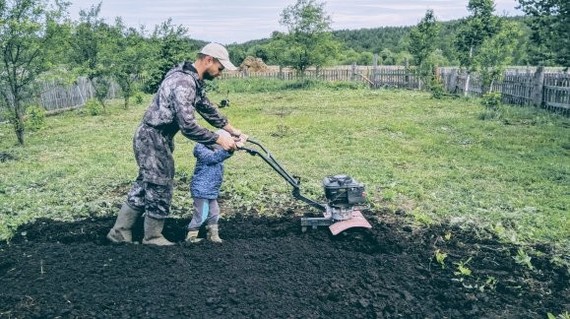 Results of the summer season 2020 - My, Home construction, Rural life, Horses, Animals, Longpost