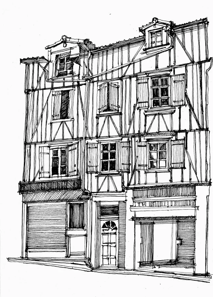 House, drawing - My, Architecture, House, Ancient architecture, Graphics, Black pen