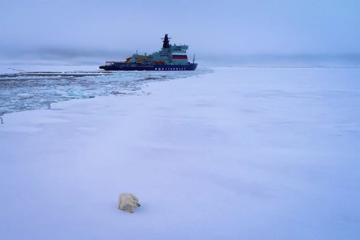 Nuclear icebreaker Arktika reached the North Pole - Shipbuilding, Nuclear icebreaker, Atom, Fleet