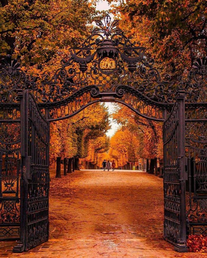 Beautiful autumn in Vienna (Schonbrunn Palace) - The photo, Nature, The park, Autumn, Austria, Vein, Tree, beauty, Autumn leaves