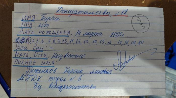 Маленький кошачий бюрократ Кот, Детство, Бюрократия, Длиннопост