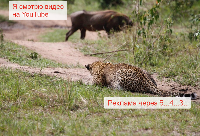 Реклама на YouTube