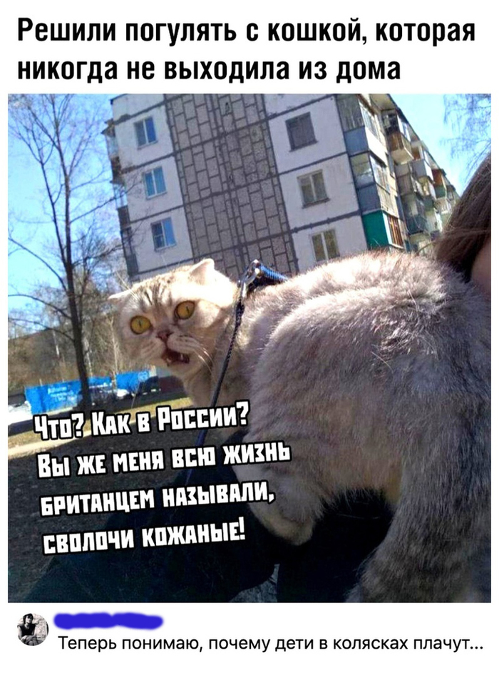 Разочарование