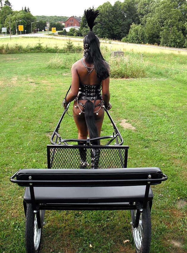 Horses - NSFW, Ero Corner, BDSM, Ponyplay, Longpost