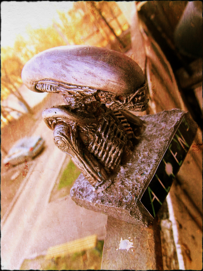 aliens vs predator 2 primal hunt сцена в душе баг. картинка aliens vs predator 2 primal hunt сцена в душе баг. aliens vs predator 2 primal hunt сцена в душе баг фото. aliens vs predator 2 primal hunt сцена в душе баг видео. aliens vs predator 2 primal hunt сцена в душе баг смотреть картинку онлайн. смотреть картинку aliens vs predator 2 primal hunt сцена в душе баг.