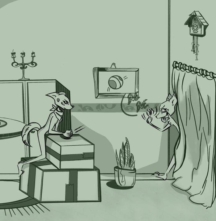 кот бессмертия. кот бессмертия. необычные окраски кошек. бессмертный кот. квантовые котики.