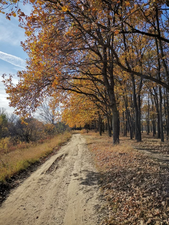 October - My, Mobile photography, Landscape, Nature, Autumn, October, Huawei mate 20, Longpost