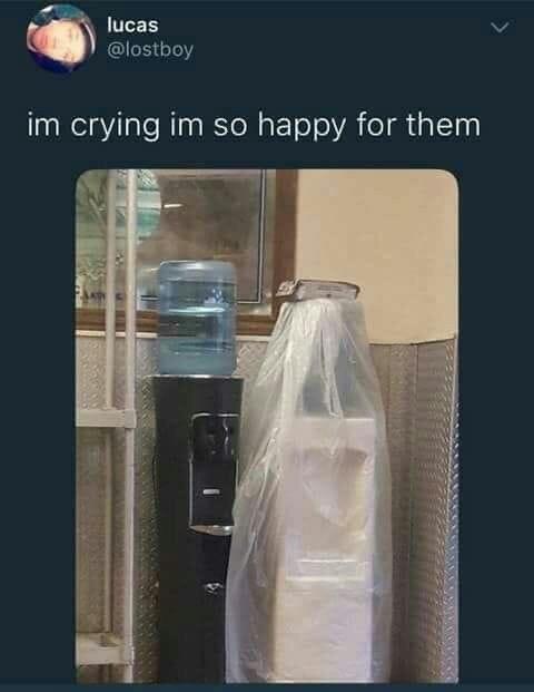 I'm crying, I'm so proud of them! - Twitter, Humor, Memes, Picture with text, Wedding