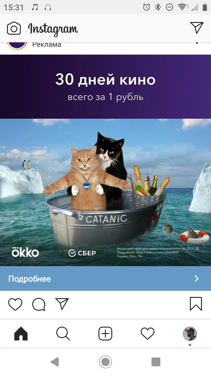 cat - Advertising, Homosexuality, cat, Longpost, Homosexuality