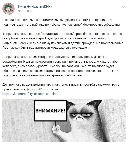 Долго не протянут? - Феминистки, Феминизм, ВКонтакте, Блокировка, Исследователи форумов, КНН, Мат, Длиннопост