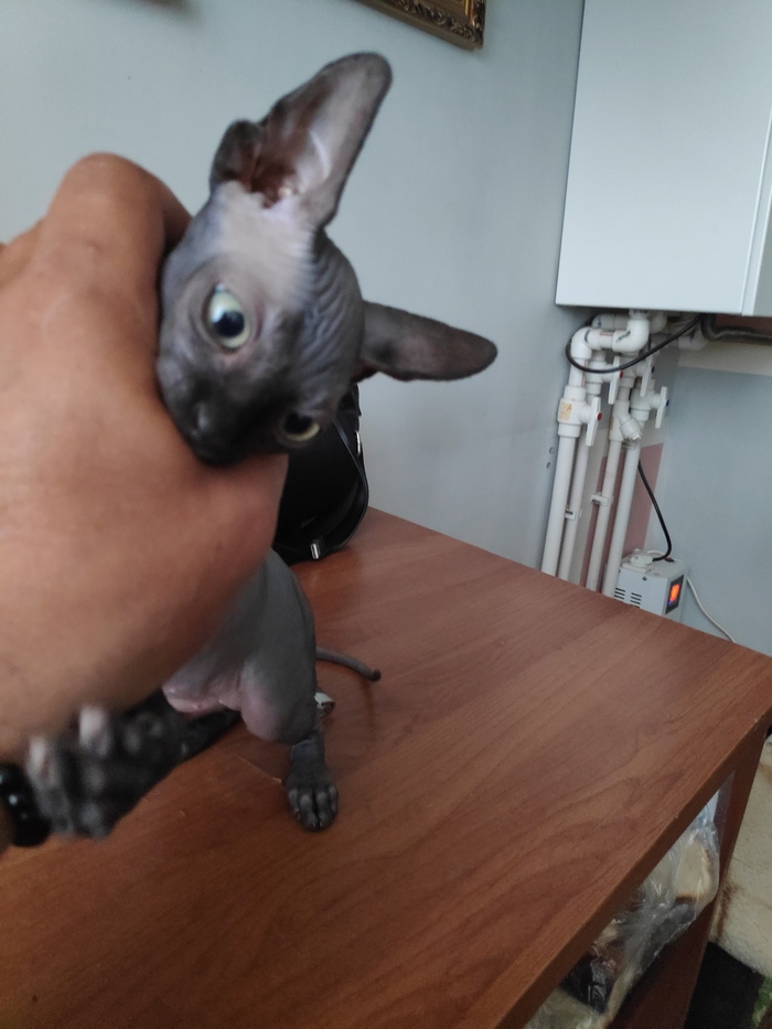    , , , 