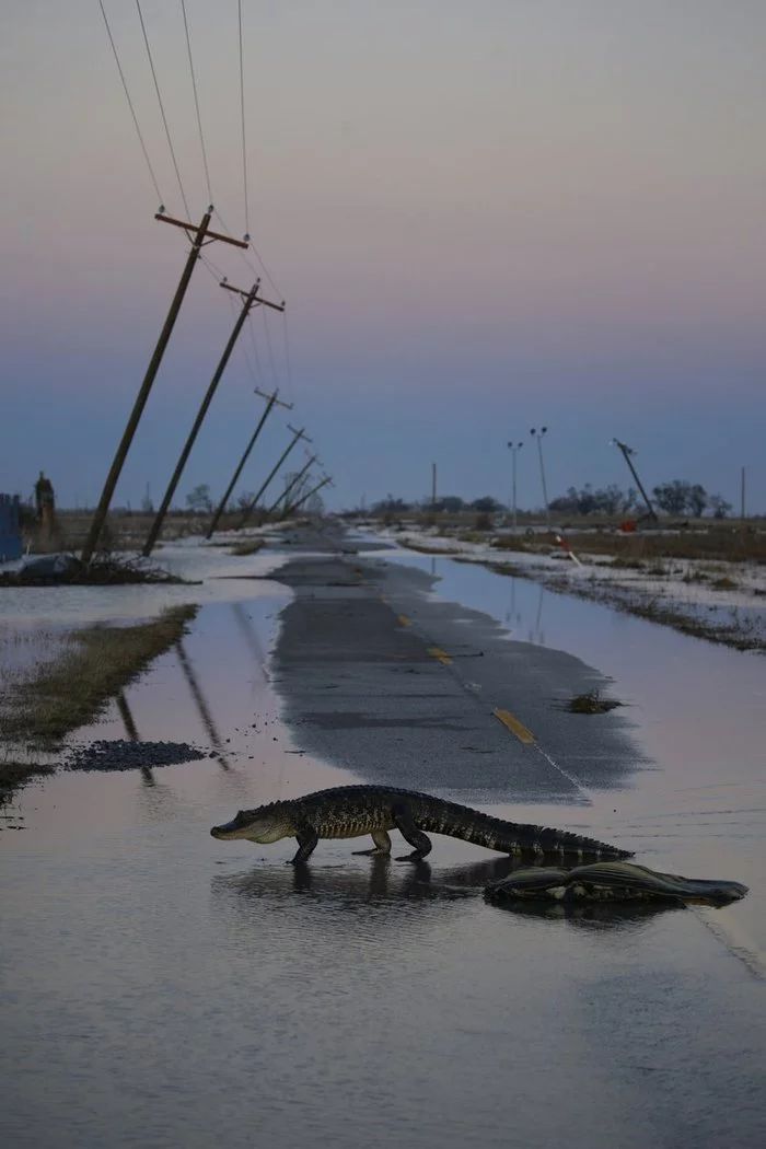 Hurricane Delta hit the US state of Louisiana. This is what one of the region's highways looks like now - Alligator, Louisiana, Road, The photo, Hurricane